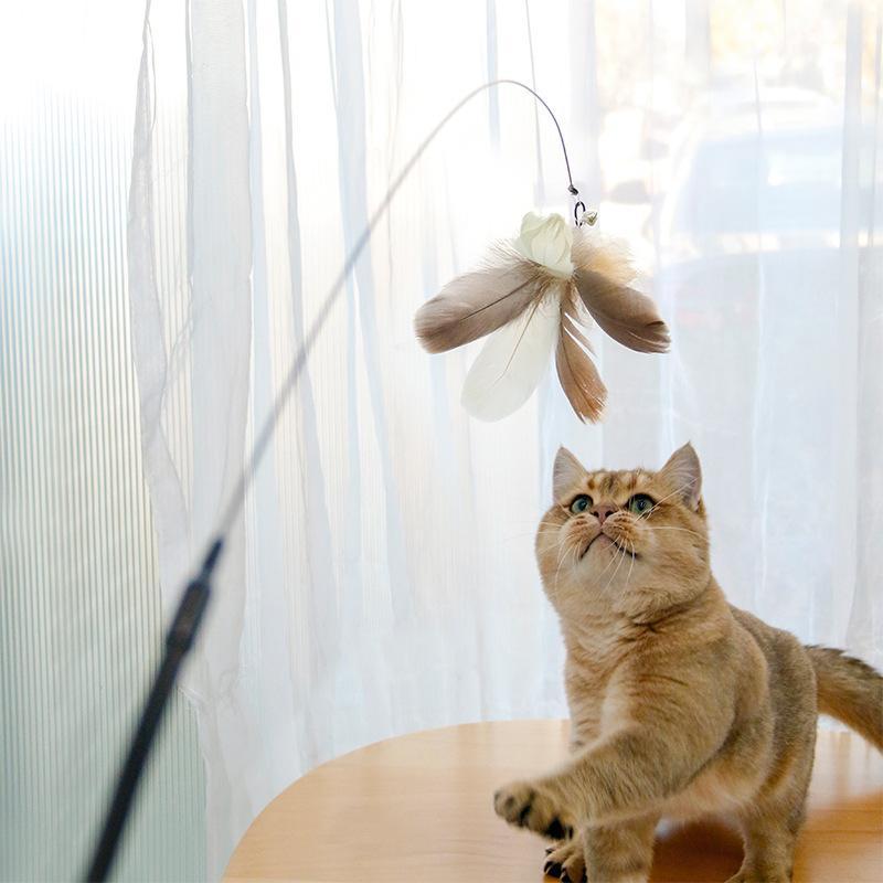 Retractable Laser Cat Stick Toys Cat Toy BallsKitten Playing Cat Laser Teaser Wand ABS PPMaterial Safe And None Toxic, Universalinteractive Toy