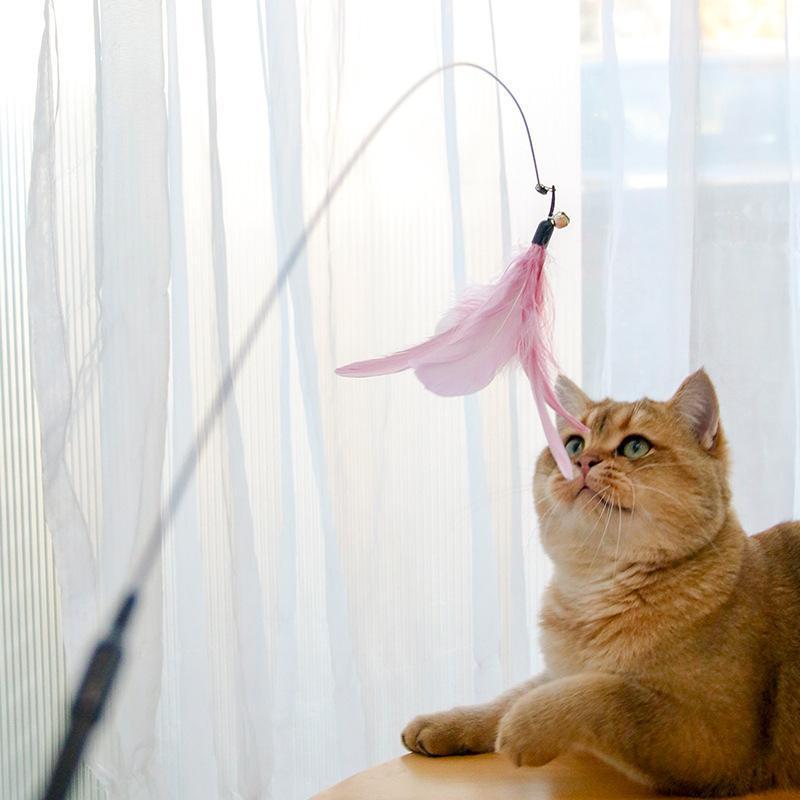 Retractable Laser Cat Stick Toys Cat Toy BallsKitten Playing Cat Laser Teaser Wand ABS PPMaterial Safe And None Toxic, Universalinteractive Toy