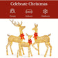 Golden Christmas Reindeer Set - 3-Piece Holiday Decoration