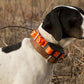 Pet Dog Collar For Pet Training Dog Training Equipment