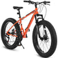 Bicycle S26109-ORANGE