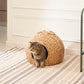 Weaving Rattan Circular Cat Bed